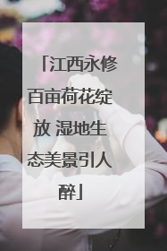 江西永修百亩荷花绽放 湿地生态美景引人醉